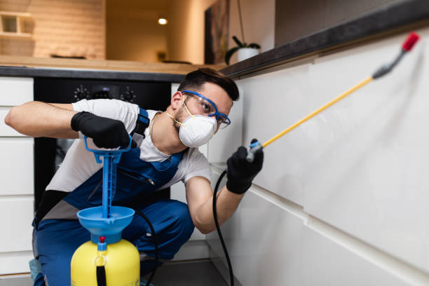 Best Flea Control Services  in Clearfield, UT
