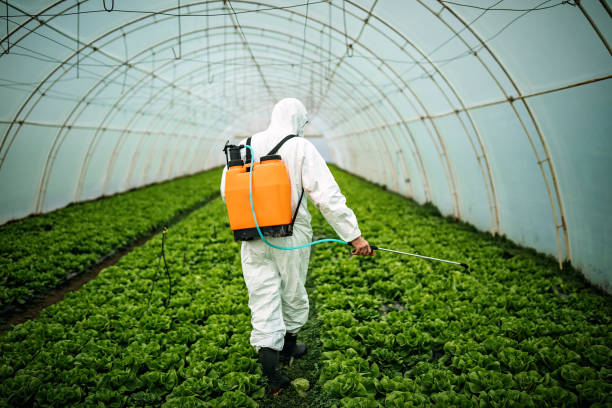 Best Best Pest Control Near Me  in Clearfield, UT