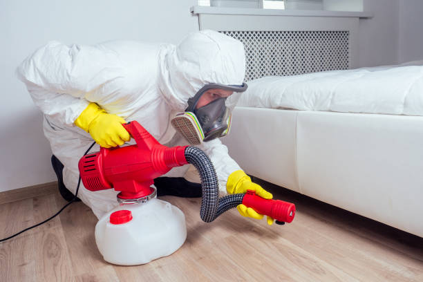 Best Pest Control Near Me  in Clearfield, UT