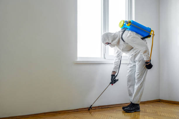 Best Pest Prevention Services  in Clearfield, UT