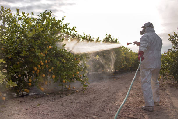 Best Pest Control Treatment  in Clearfield, UT