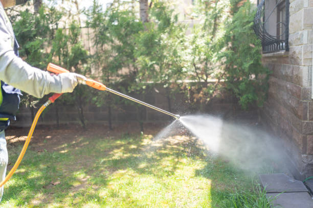 Best Affordable Pest Control Services  in Clearfield, UT