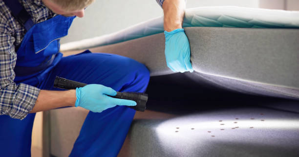 Best Ant Control Services  in Clearfield, UT