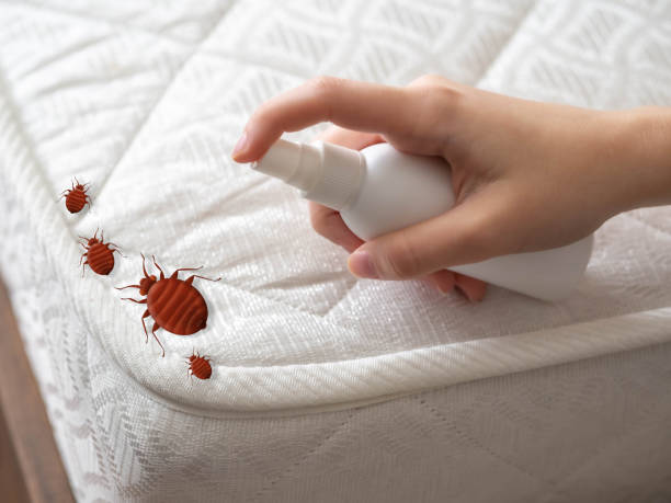 Best Wasp Removal Services  in Clearfield, UT
