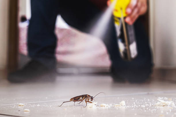 Best Cockroach Control Services  in Clearfield, UT