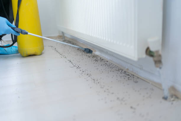 Best Pest Control Near Me in Clearfield, UT