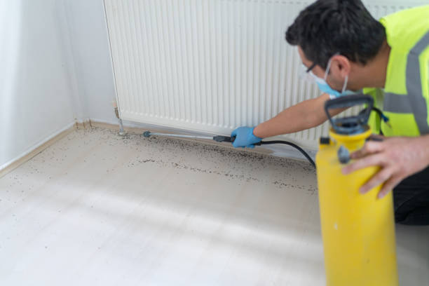 Best Residential Pest Control  in Clearfield, UT